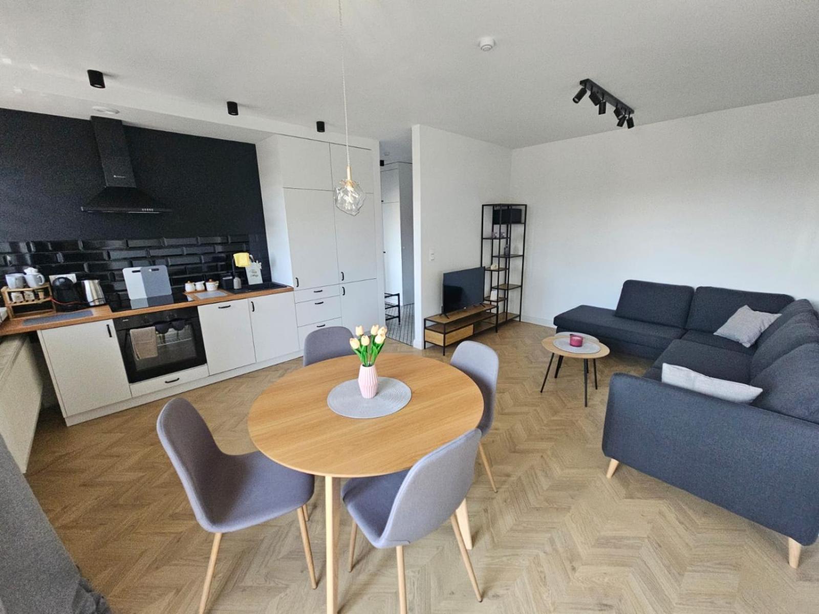 Tg Loft Apartment Tarnowskie Gory
